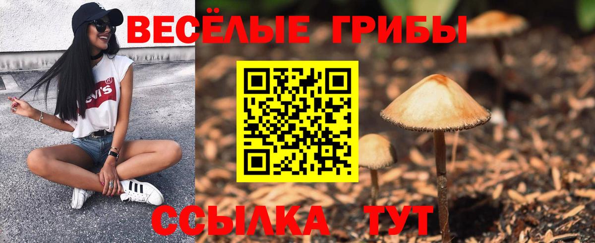 закладка  Псилоцибиновые грибы мицелий  Вход с VPN  Ейск 